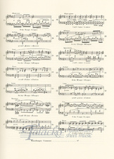 HN 484_3.jpg